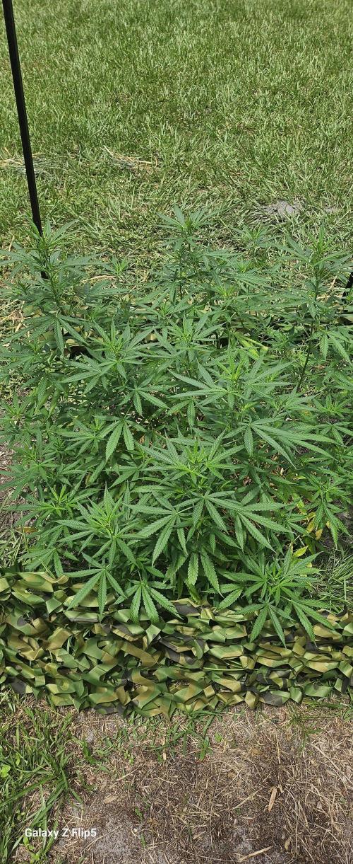 Outdoor photos part 2 continue. Week 10