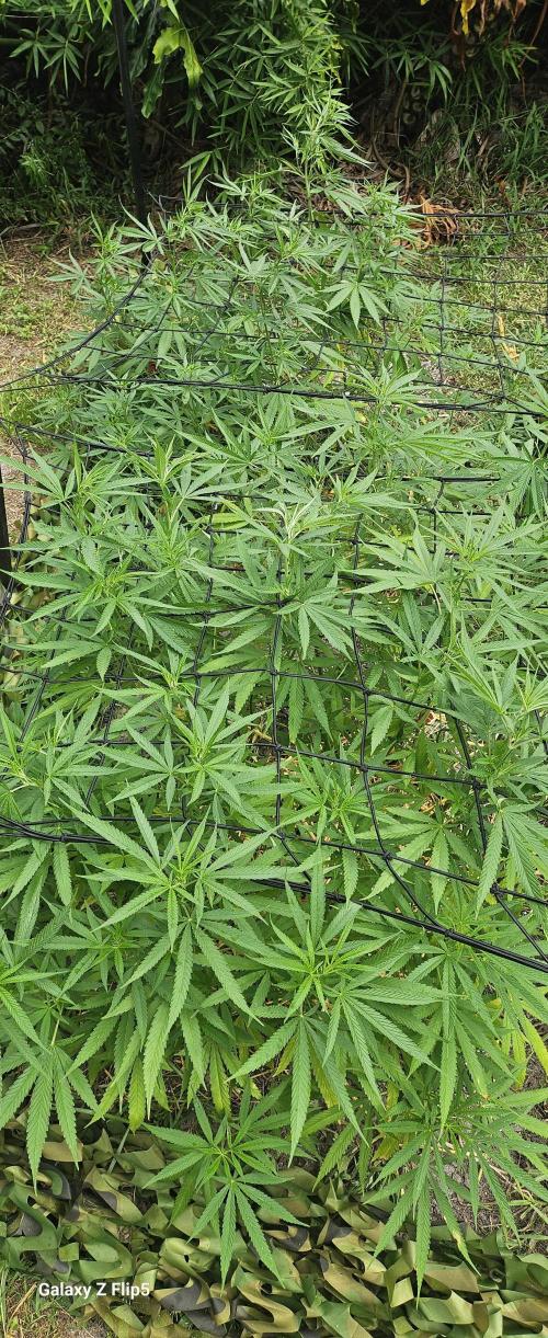 Outdoor photos part 2 continue. Week 10
