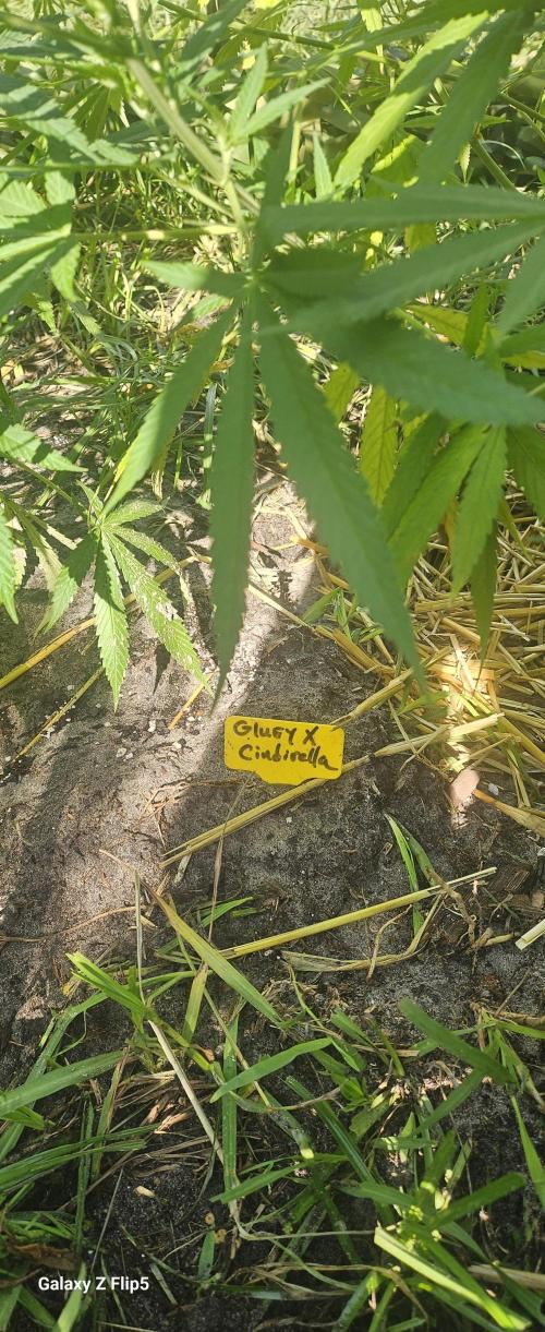 Outdoor photos part 2 continue. Week 10