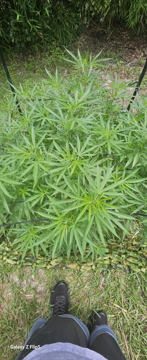 Outdoor photos part 2 continue. Week 10