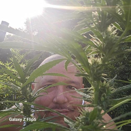 Outdoor photos part 2 continue. Week 18