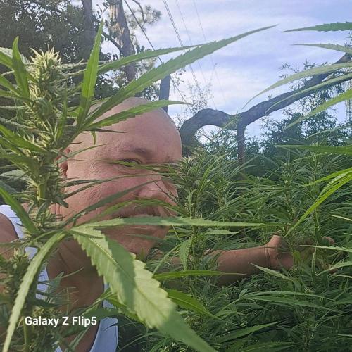 Outdoor photos part 2 continue. Week 18