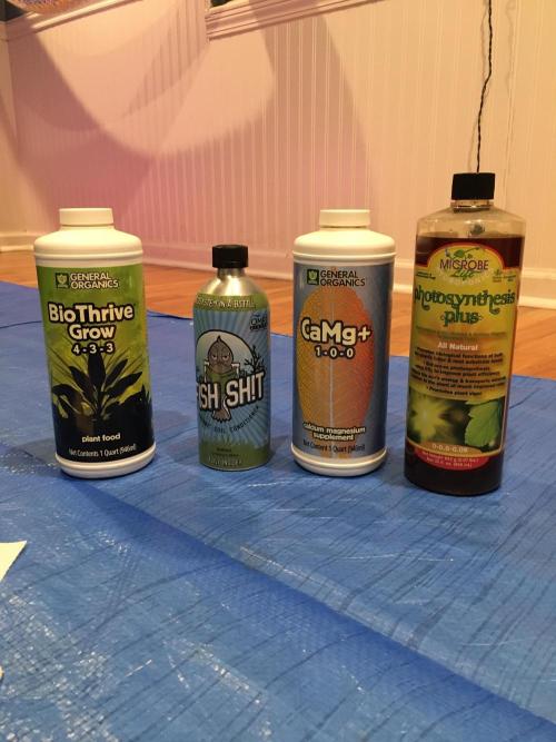 Blackberry Moonrocks - grow 10. Week 2 - The nutrients. Shame this site doesn’t have General Organics products listed. 