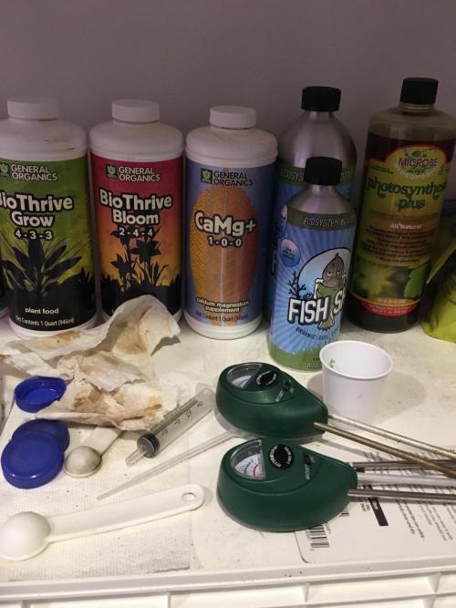 Blackberry Moonrocks - grow 10. Week 4 - Nutrients 