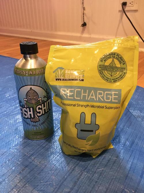 Blackberry Moonrocks - grow 10. Week 4 - Nutrients 