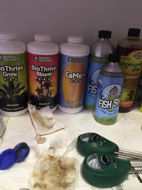 Blackberry Moonrocks - grow 10. Week 5 - Nutrients 