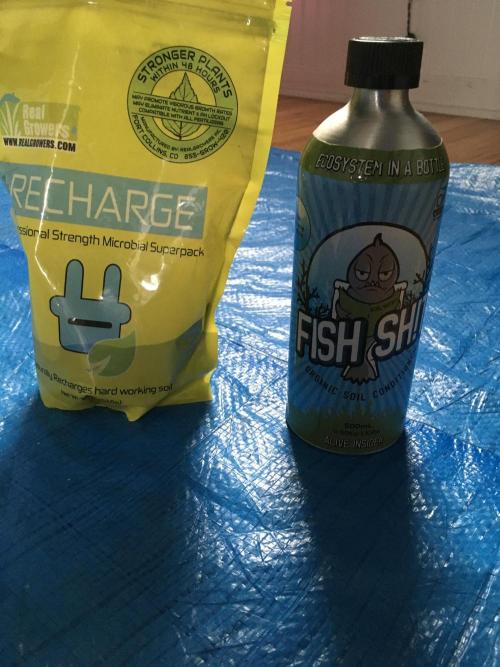 Blackberry Moonrocks - grow 10. Week 10 - Nutrients which will be used on Wednesday 01/07