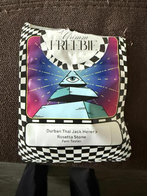 BGS TESTERS. Week 0 - FREEBIES