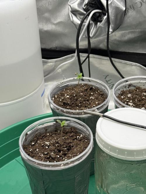 BGS TESTERS. Week 0 - 6.18.26- 24 H POST WATER