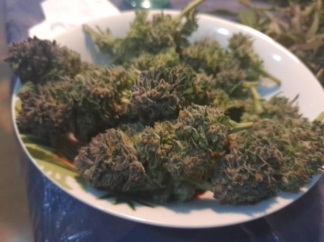 ITAENG Polar Gelato Persian Pie Zillions. Week 15