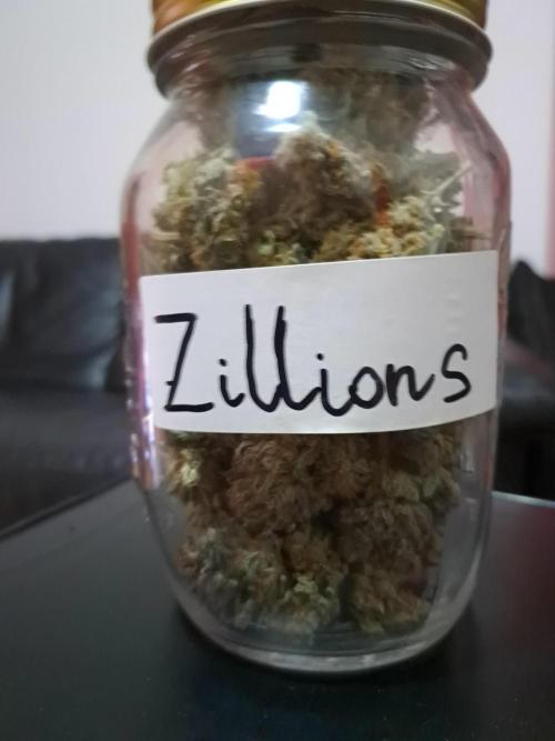 ITA Polar Gelato, Persian Pie, Zillions. Week 15