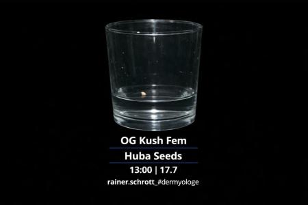 Comment by Growmigos photo #1