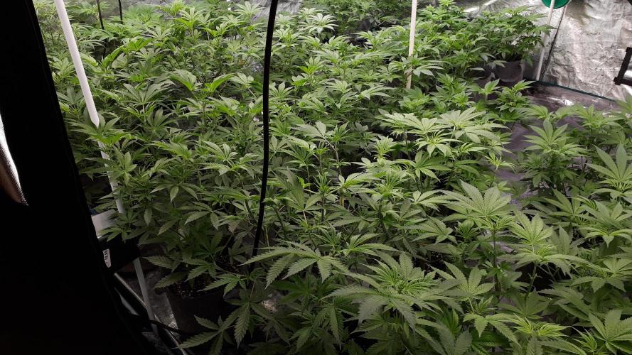 Carbon Fiber. Week 8