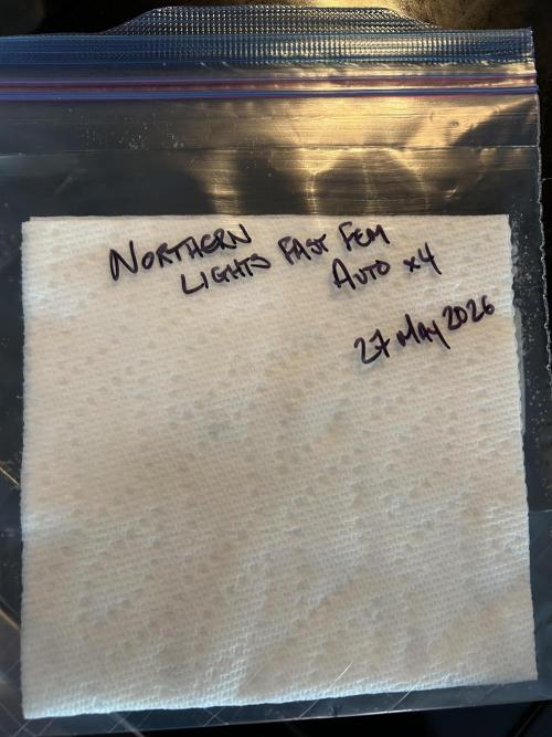 Northern Lights Fast Fem. Week 0