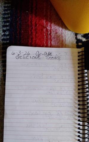 Comment by Patrickmelendres1970 photo #1