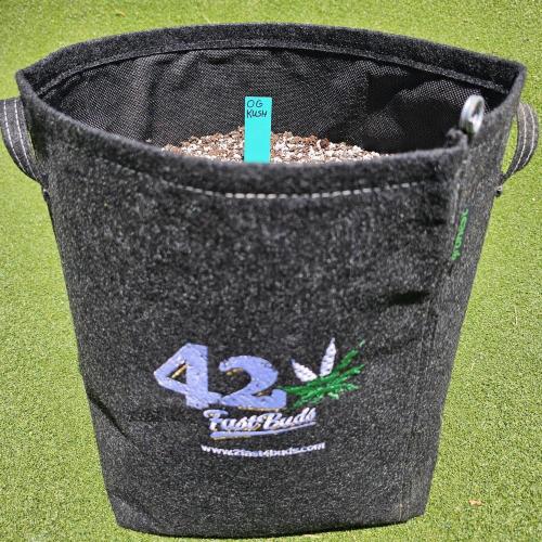 The OG Kush Canopy. Week 0 - Fast Buds fabric pot
