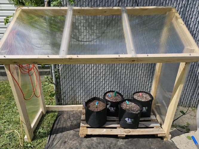 Fast Buds Outdoor Trilogy: Summer '26. Week 1