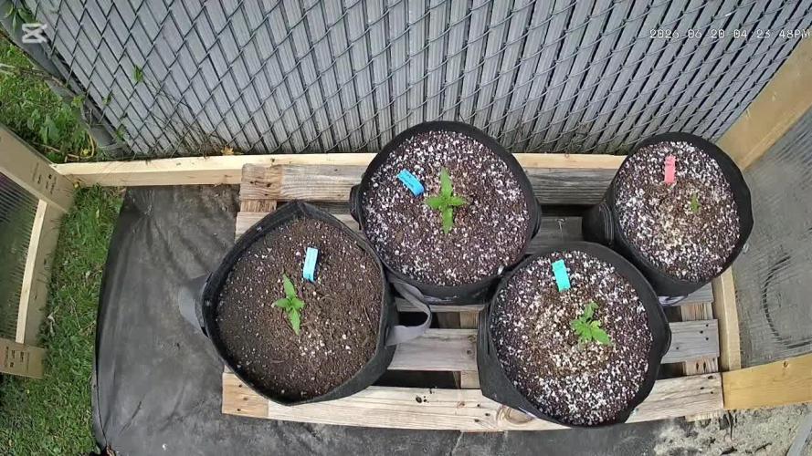 Fast Buds Outdoor Trilogy: Summer '26