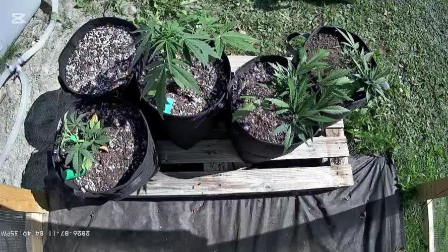 Fast Buds Outdoor Trilogy: Summer '26