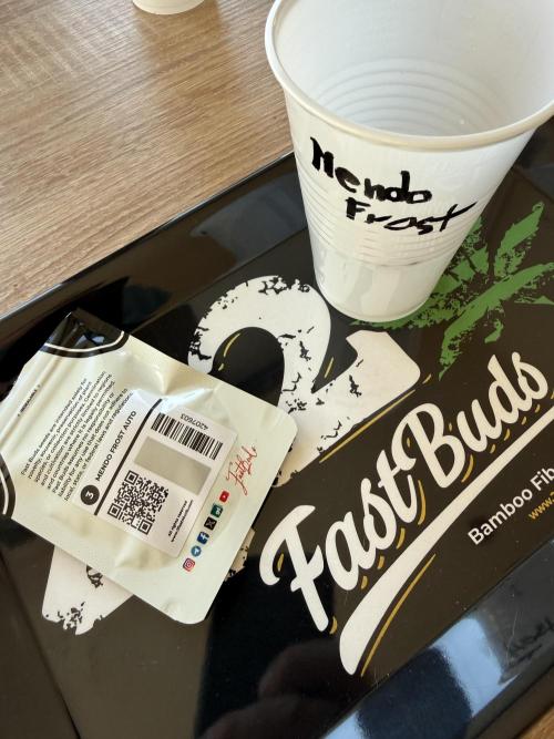 FastBuds x Medic grow test. Week 0