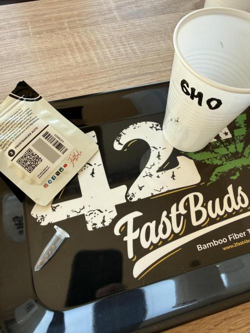 FastBuds x Medic grow test. Week 0