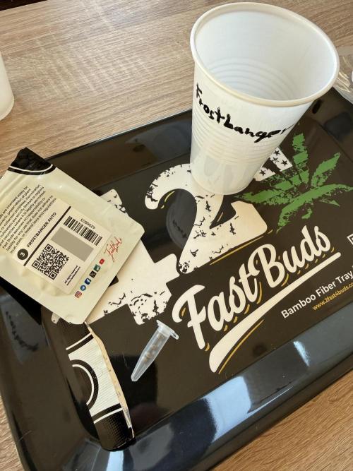 FastBuds x Medic grow test. Week 0
