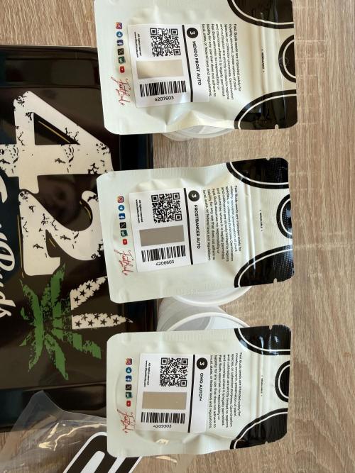 FastBuds x Medic grow test. Week 0