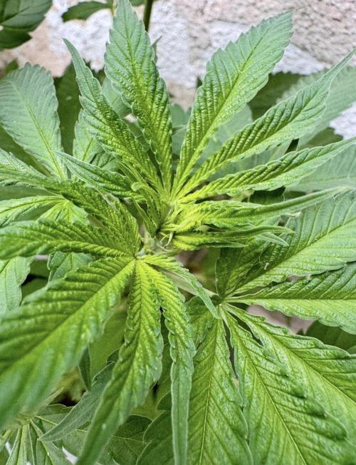 2026 1st.. Week 10