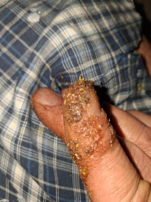 Love growing weed. Week 10