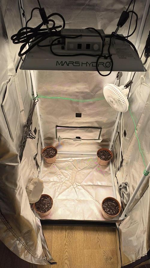 Grow Tent 70x70x160cm (2.3'x2.3'x5.3'). Week 0