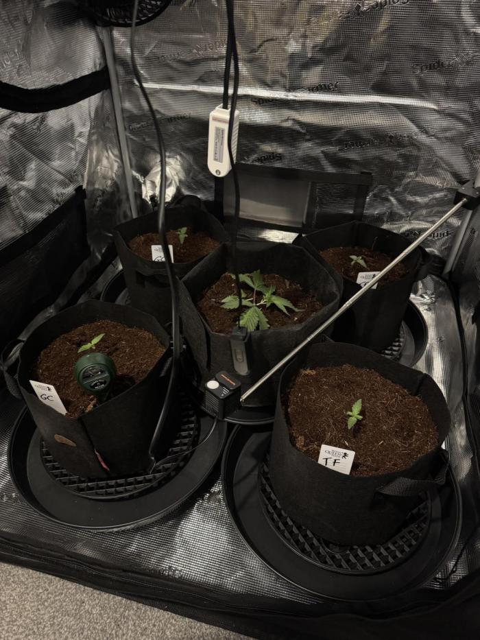 420-1. Week 1