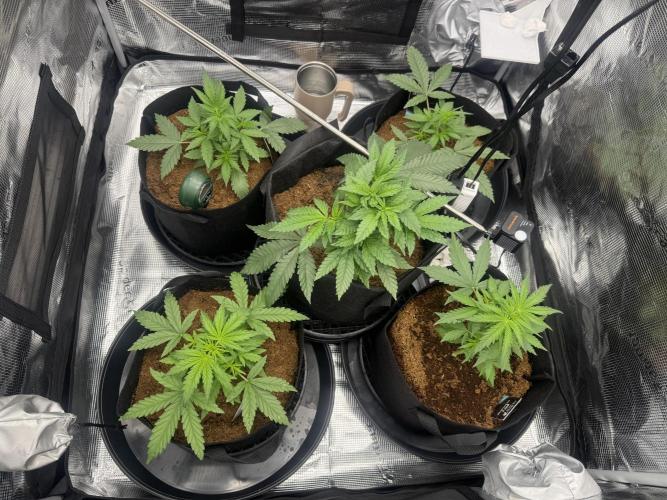 420-1. Week 3