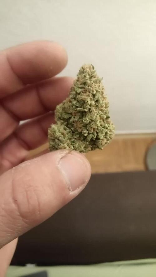 Lemon Cherry Gelato Auto and more