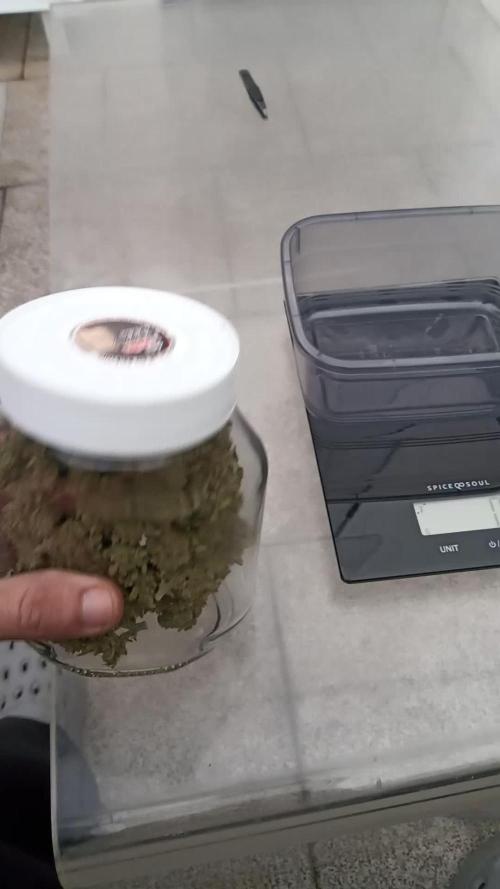 Lemon Cherry Gelato Auto and more