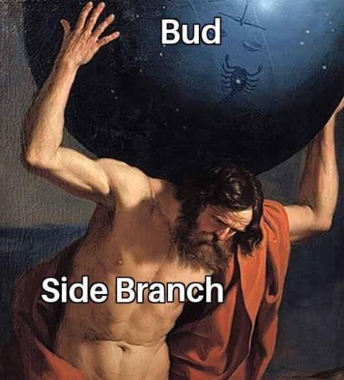 Memes. Week 0