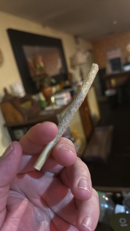 BigTipShark. Week 6