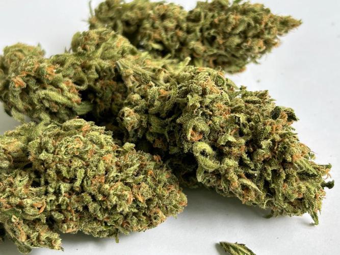 Jack Herer auto. Week 9