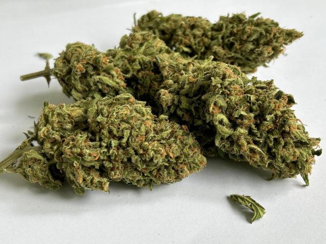 Jack Herer auto. Week 9
