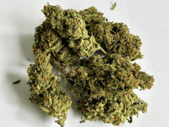 Jack Herer auto. Week 9