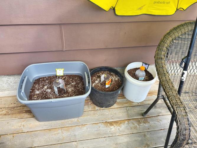 Rookie Grow 😁. Week 0