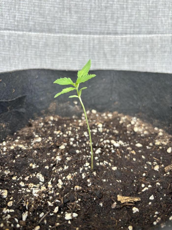 outdoor test #1. Week 0
