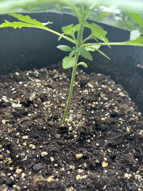 outdoor test #1. Week 3