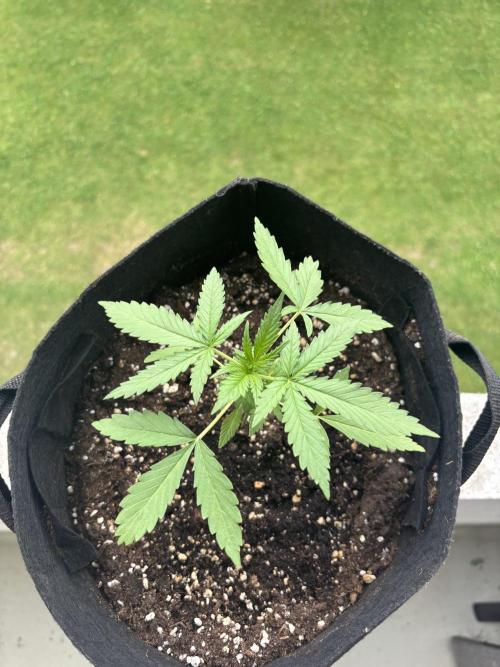 outdoor test #1. Week 3