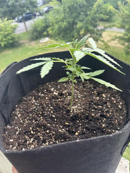 outdoor test #1. Week 3
