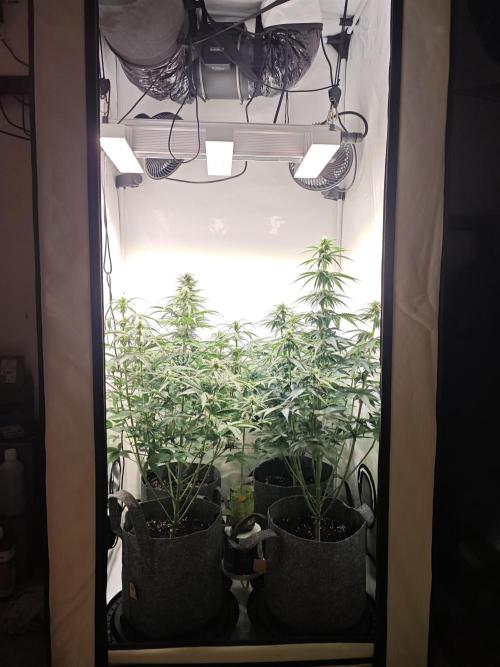 4 druhy. Week 6