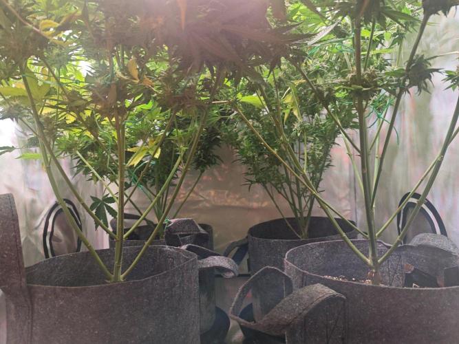 4 druhy. Week 10