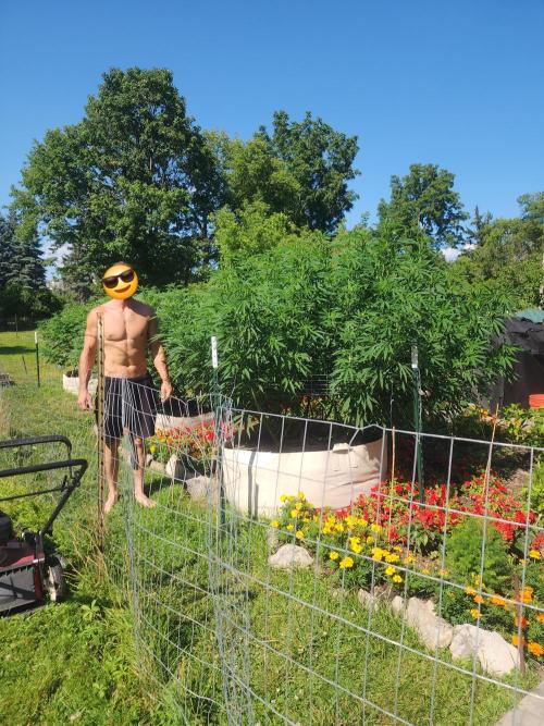 2026 BIG GIRLS. Week 1 - I am 6' 4 for reference next to sticky queen 