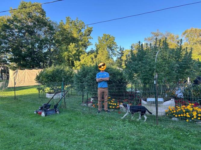 2026 BIG GIRLS. Week 8 - Bbfast left 2 sticky queen tall 1