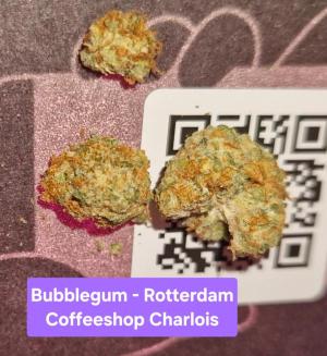 Comment by samuraiweedy photo #1