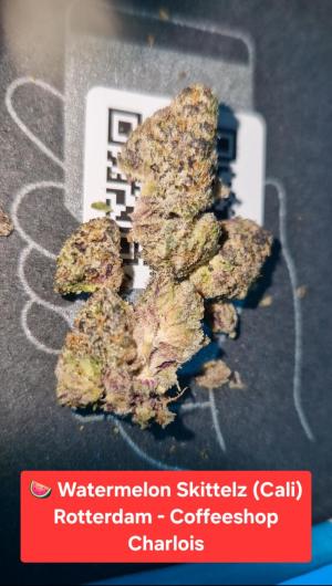 Comment by samuraiweedy photo #1